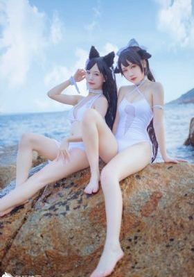 锵锵锵锵锵在线免费观看